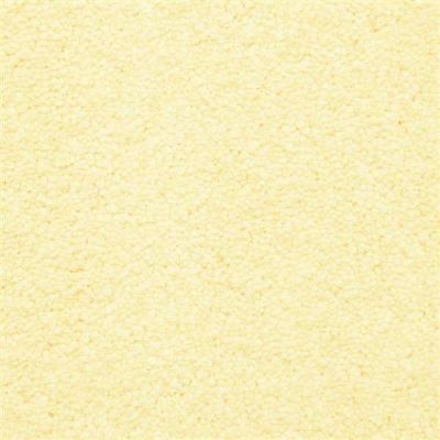 Masland Morgan Bay Ribbon 9550-418