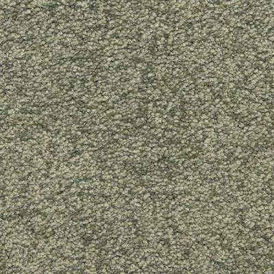 Masland Morgan Bay Muir Woods 9550-577