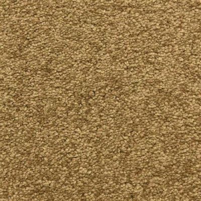 Masland Morgan Bay Woofruff 9550-731