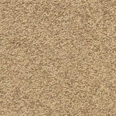 Masland Vero Beach Bungalow 9551-358