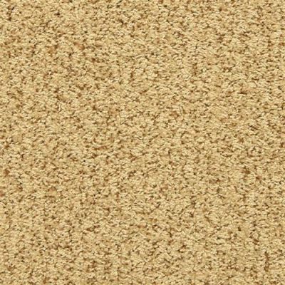Masland Sea Grass Amber Glow 9556-420
