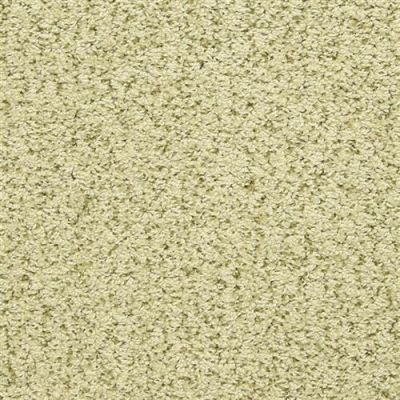 Masland Sea Grass Moss 9556-546