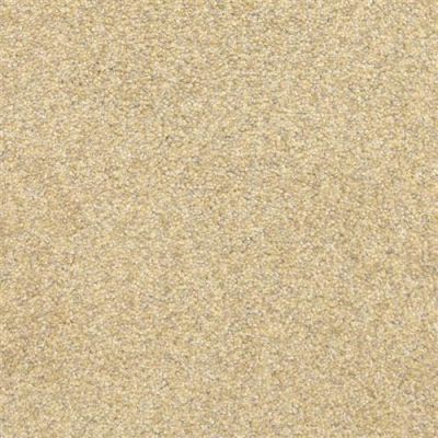 Masland This And That Evening Sun 9557-253