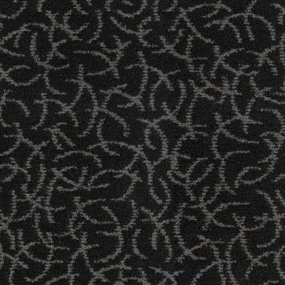 Masland Altair Black Hole 9563-797