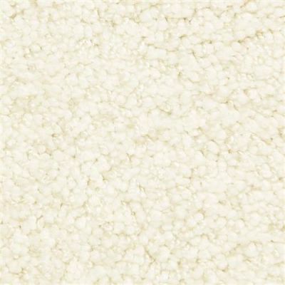 Masland Shangri-la Too Shambala 9564-12