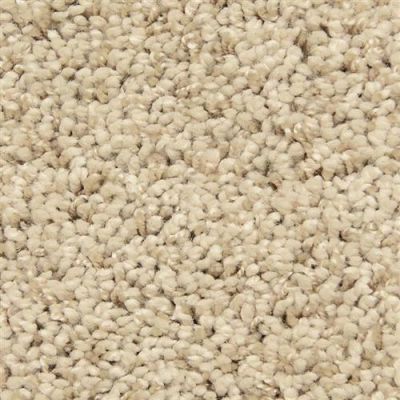 Masland Shangri-la Too Exotic Realm 9564-222