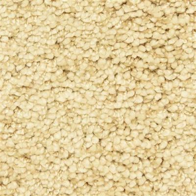 Masland Shangri-la Too Beautiful 9564-439