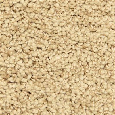 Masland Shangri-la Too Tibet 9564-509