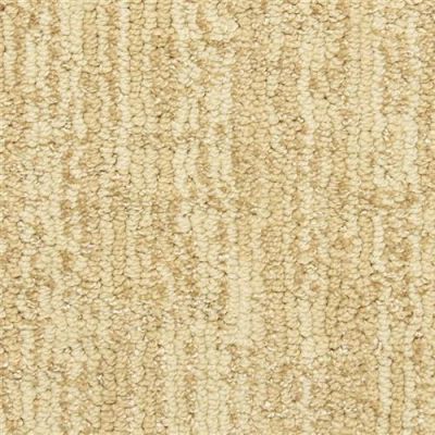 Masland Private Collection Couture 9570-403