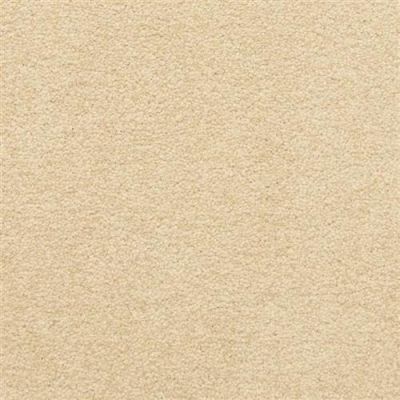 Masland Patriot Trusty 9588-191