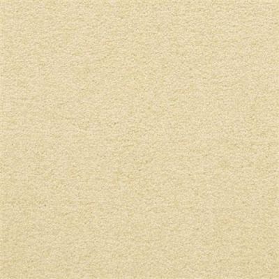 Masland Patriot Vista 9588-435