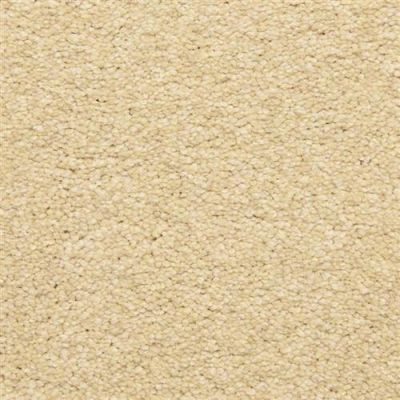 Masland Staccato Sonata 9591-124