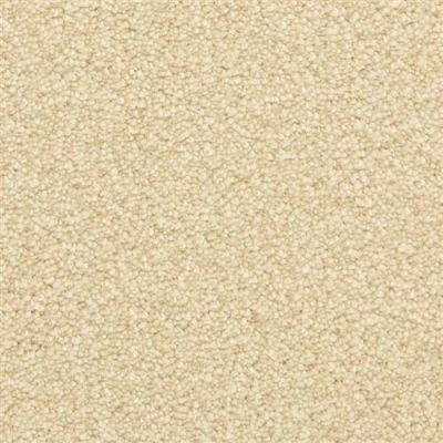 Masland Staccato Maestro 9591-221