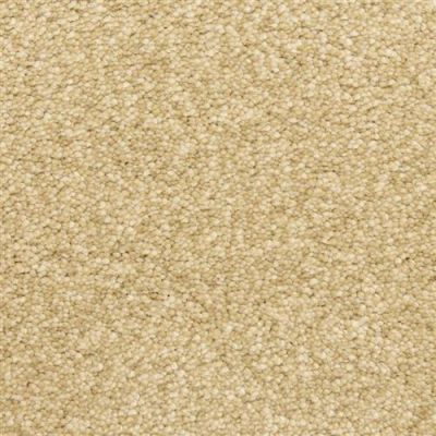 Masland Staccato Encore 9591-232