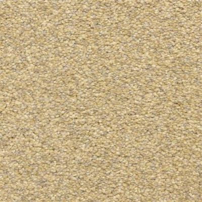 Masland Staccato Classical 9591-253