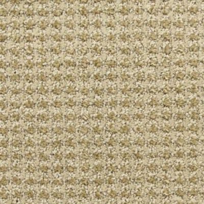 Masland Alpha Volts 9599-136