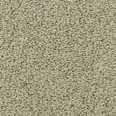 Masland Marina Del Mar Thicket 9614-536