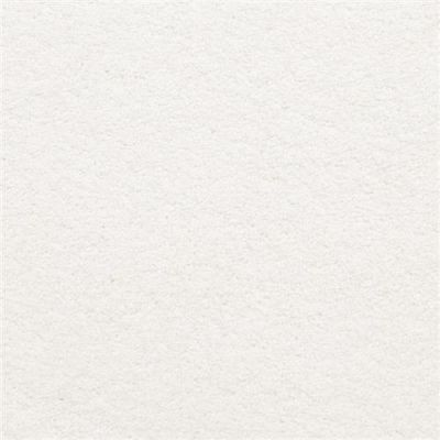 Masland Knockout Pure 9615-12