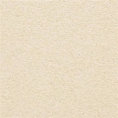 Masland Knockout Powder 9615-246