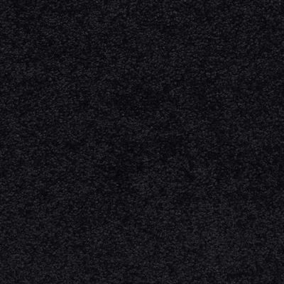 Masland Knockout After Midnight 9615-901