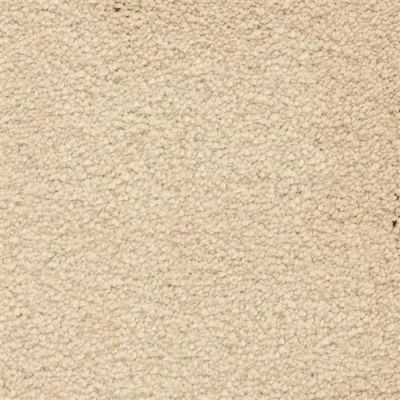 Masland Ravishing Pleasing 9625-213