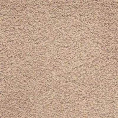 Masland Ravishing Ideal 9625-219