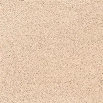 Masland Ravishing Beaming 9625-246