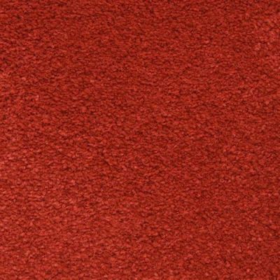 Masland Ravishing Electrifying 9625-949