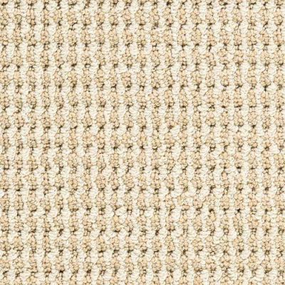 Masland Bandala Jazzed Seagrass 9648-206