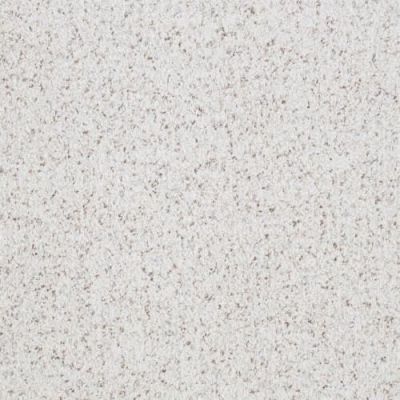 Masland Boca Raton Absolute 9650-47