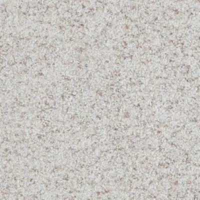 Masland Boca Raton Ceaseless 9650-148