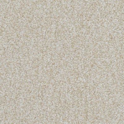 Masland Boca Raton Everlasting 9650-212