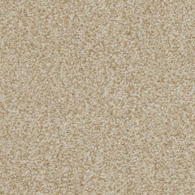 Masland Boca Raton Timeless 9650-314