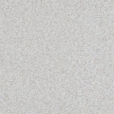 Masland Boca Raton Reliable 9650-831