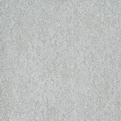 Masland Buena Vida Cacti 9680-646