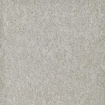 Masland Buena Vida Vision 9680-869