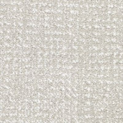 Masland Pedigree Vanity Fur 9690-729