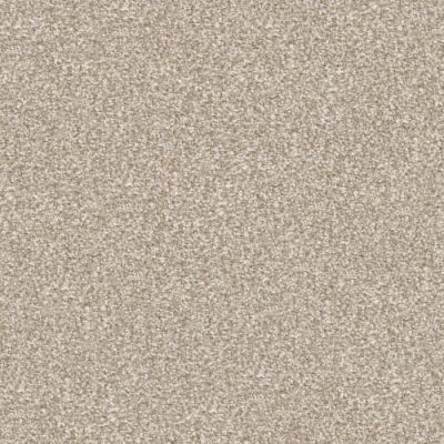 Masland Hunter Sandy 9691-761