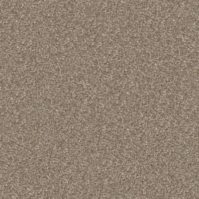 Masland Hunter Shiloh 9691-882