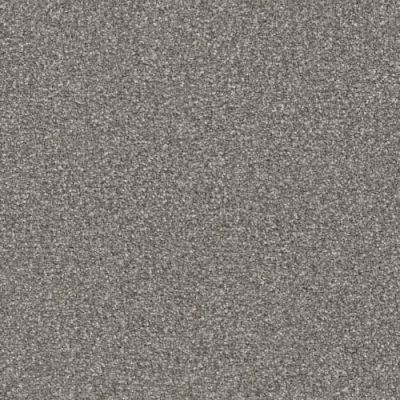 Masland Hunter Beethoven 9691-978