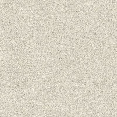 Masland Tracker Marley 9692-711