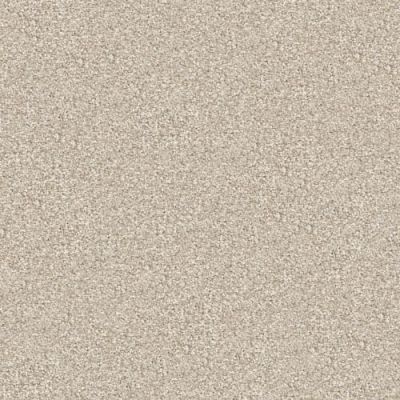 Masland Tracker Slinky 9692-737