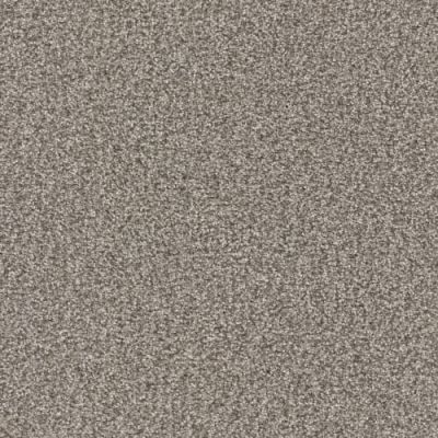 Masland Tracker Rover 9692-879