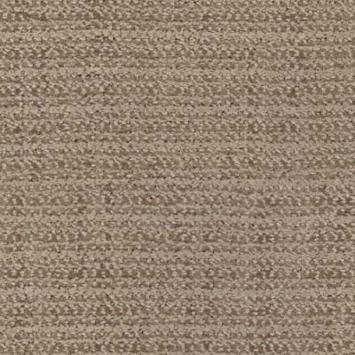 Masland Beguiling Earthen 9714-871
