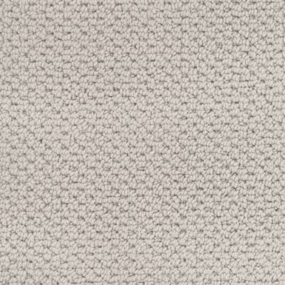 Masland Beachfront Windswept 9704-719