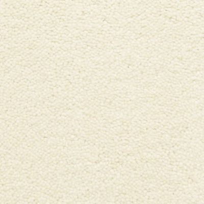 Fabrica Bodega Bay Sea Shell 807BY-711BY
