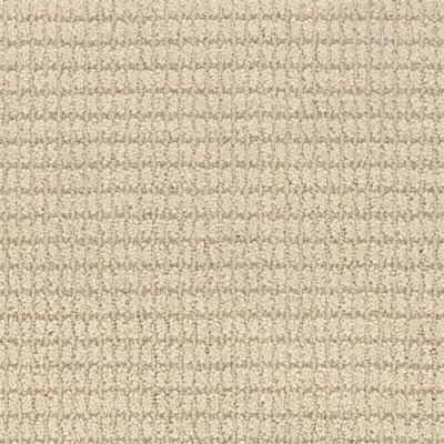 Masland Defined Greige 9717-731