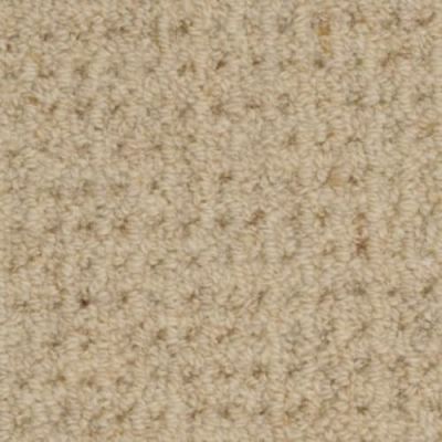 Masland Etchings Claria 9248-103