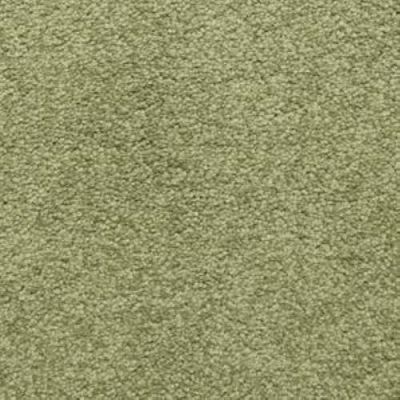 Dixie Home Cortana Courtly 5377-50242