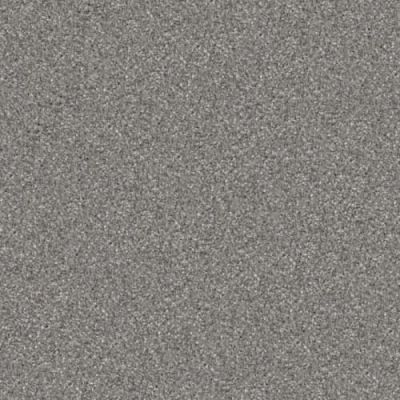 Masland Hunter Rin Tin 9691-979